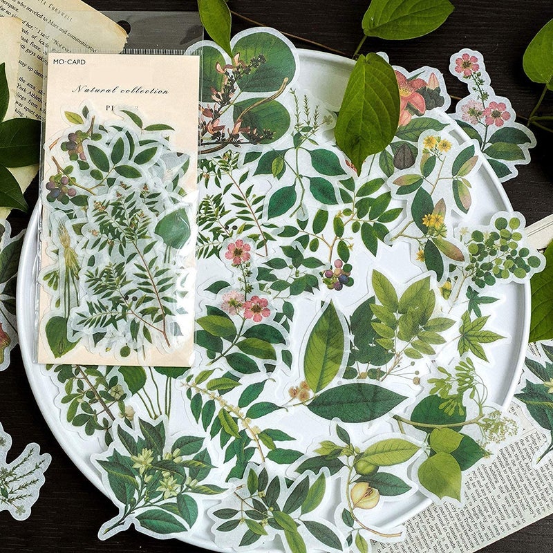 Doraking 60pcs Scrapbooking Stickers, Doraking DIY Decorative Green Plants Set Stickers for Laptop Envelop Scrapbook Notebook Luggage Glasses (Plants Map) - Image 1